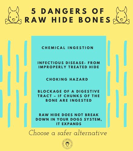 No More Raw Hide Chews for Dogs – Oliver Pet Care Solutions Pvt Ltd