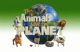 Image result for Too Cute Animal Planet Channel
