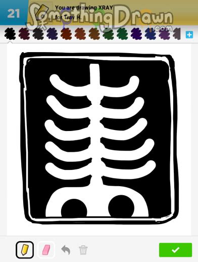 Image result for X-ray Tutorials