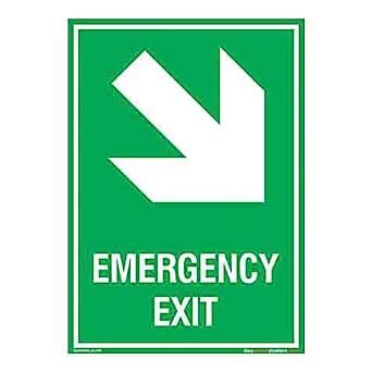 buysafetyposters.com - "Emergency Exit" Sign in English - Vinyl Sun ...