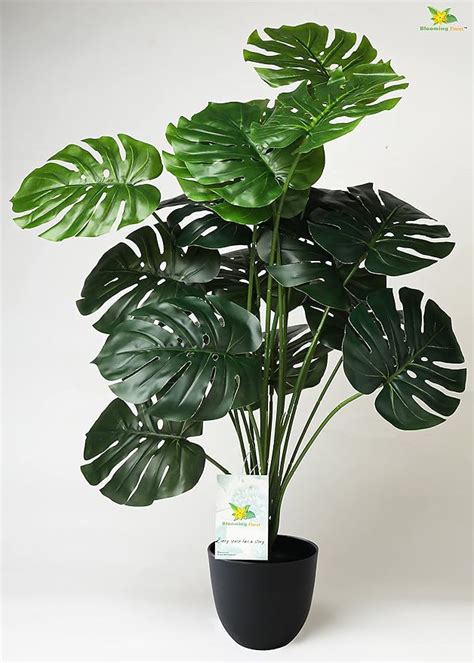 Buy Blooming Floret Polyester Monstera Plant|With Basic Black ...