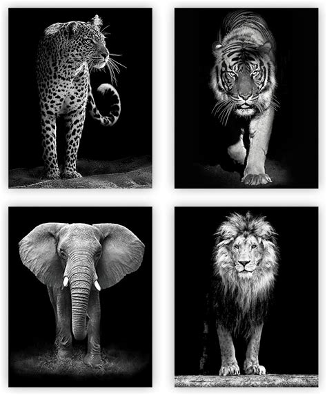 Black And White Paintings Of Animals