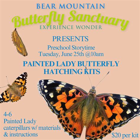Bear Mountain Butterfly Storytime! | Dimmick Library
