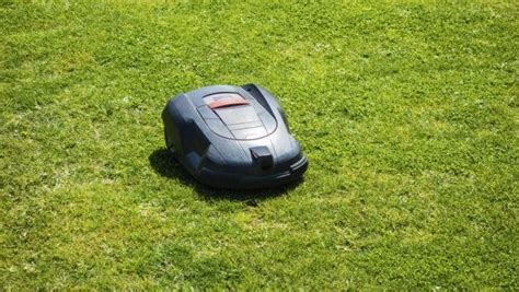Robot rasaerba