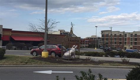 ROOKWOOD COMMONS (2026) All You SHOULD Know Before Going (with Photos)