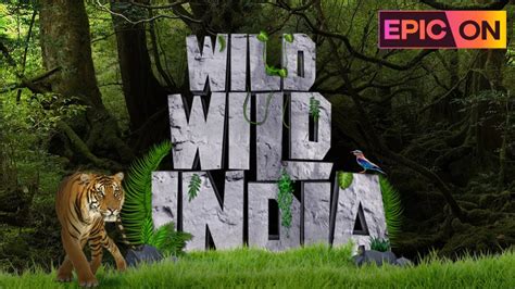 Watch Wild Wild India TV Show Latest Episodes Online at Airtel Xstream Play