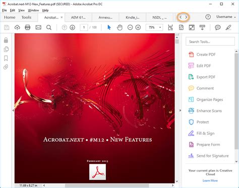 Adobe Acrobat Workspace basics in Acrobat 2017 and Acrobat Classic 2015