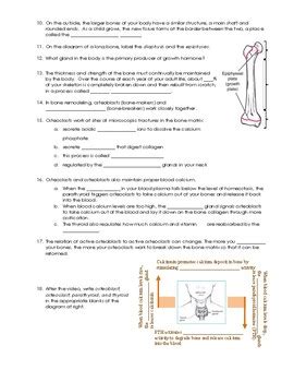 Image result for Crash Course Skeletal System