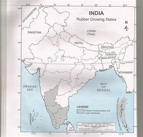 Top 10 Rubber Producing States In India – FUKQQ