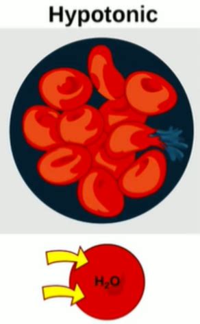 Image result for 9 Types of Solutions