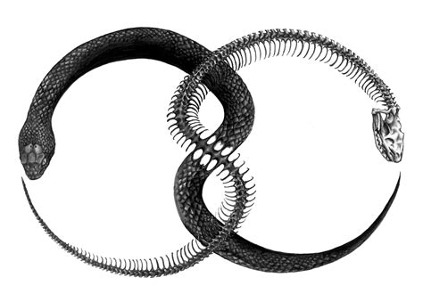 Ouroboros PNG Transparent Ouroboros.PNG Images. | PlusPNG
