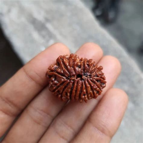 Rudraksha Guru : Rudraksha, Spiritual Jewelry and Gifts - RudrakshaGuru ...