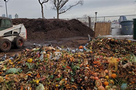 Food Waste 的图像结果