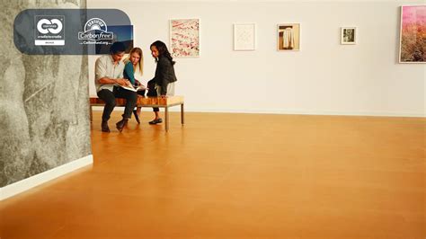 Johnsonite Sports Flooring | Floor Roma