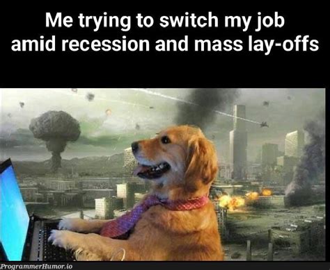 Codig Job Interview Meme 的图像结果