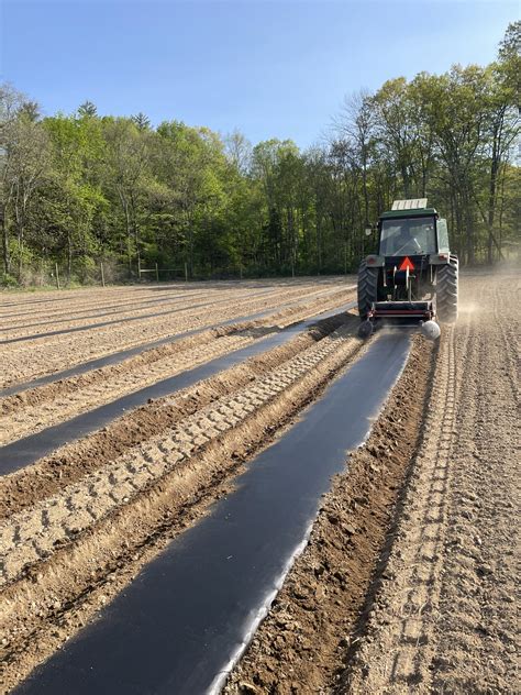 Farm to Table | Cerbo's Parsippany Greenhouse & Garden Center