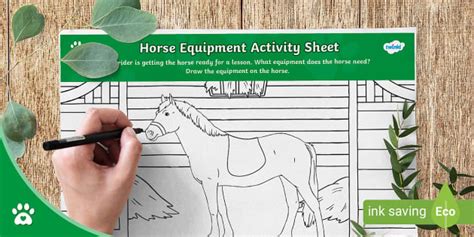 Horse Equipment - Activity Sheet - Riding - Twinkl Pets