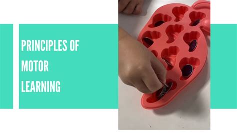 Motor Learning Principles 的图像结果