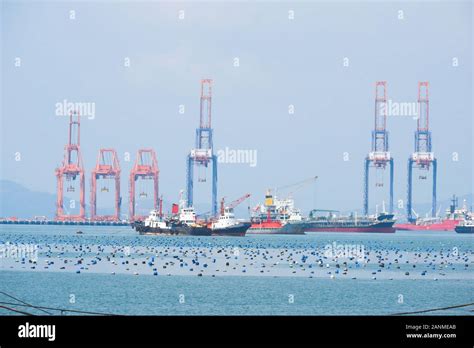 Export 的图像结果