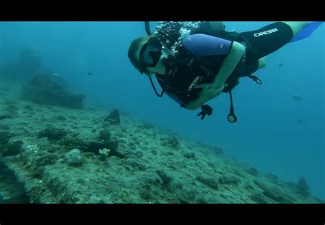 ATLANTIS INTERNATIONAL DIVING SERVICES - All You Need to Know BEFORE ...