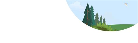 CRM Implementation: A Comprehensive 9 Step Guide | Salesforce