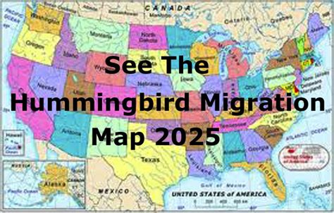 Image result for Hummingbird Tracking Map