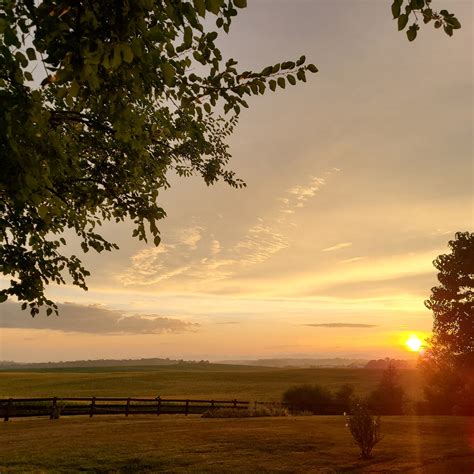 Old Trade 的图像结果