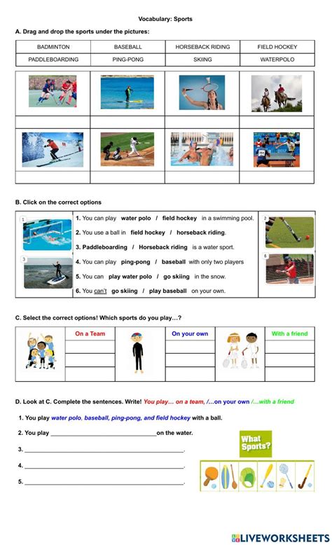 Sports Worksheet 的图像结果