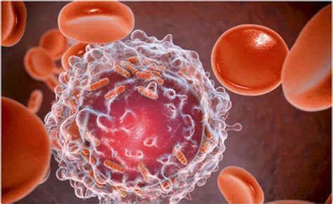 नई AI तकनीक फ्रैगल ब्लड सैम्पल में कैंसर के छोटे निशानों का लगा सकती है ...