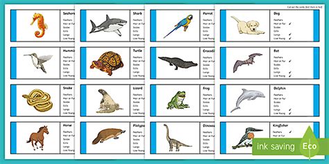 Image result for Classification Key Vertebrates KS2