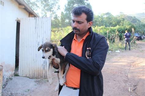 “PrepVet” A Free Online Course to Protect Animals from Disasters