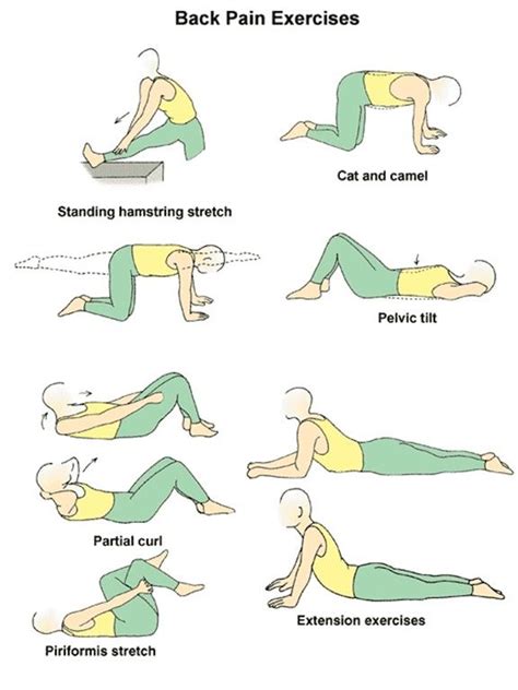 Image result for Back Stretch Tutorial