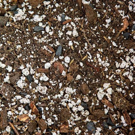 Order Houseplant Potting Soil Online | Organic Soil Amendments ...