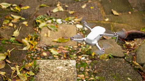 Rezultat imagine pentru Flying DJI Mini 2 Function Button