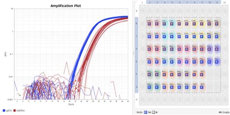 Image result for Two-Step RT-PCR Run