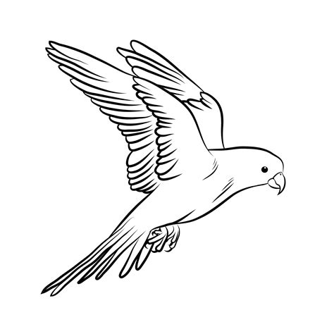 Bird Outline Drawing