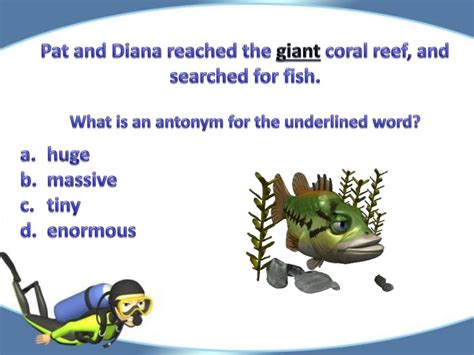 PPT - Diving Deep for Synonyms and Antonyms PowerPoint Presentation ...