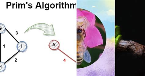 Image result for Algorithmus Python