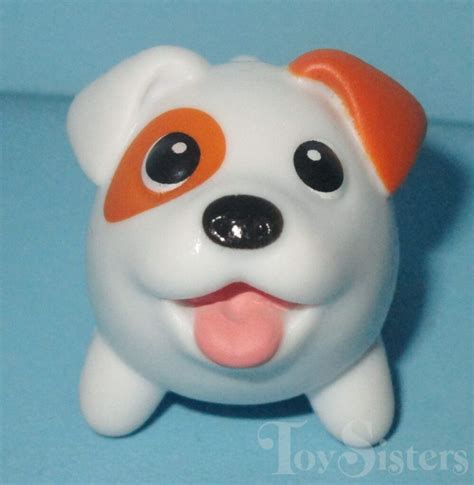 Image result for Mini Stumpy Jack Russell