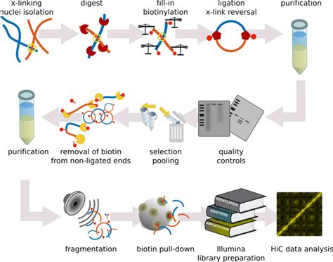 Image result for Basic Hic Command Structure and Function