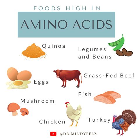Foods High in Amino Acid for Optimal Health