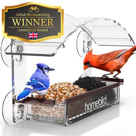 Will Birds Feed From A Window Feeder at Lucinda Mccathie blog