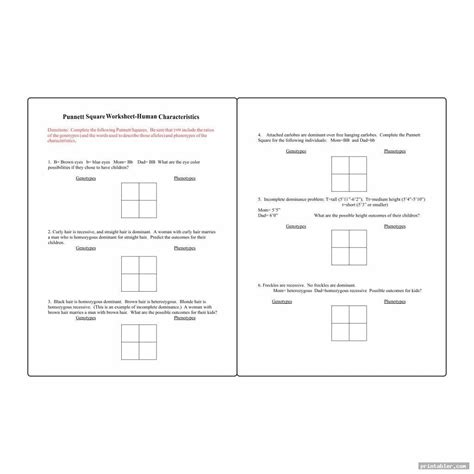 The Ultimate Guide to Punnett Square Worksheets: From Basic Genetics to ...