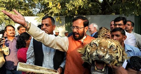 Khai mạc thượng đỉnh chống săn bắn hổ tại Nepal – Tiếng Việt