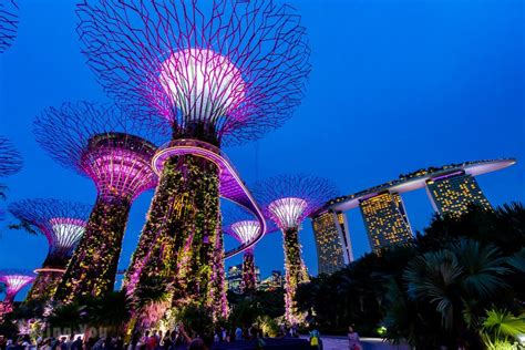 新加坡滨海湾公园超级树的迷人灯光秀