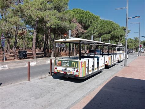 TRAINBUS (2026) All You Need to Know BEFORE You Go (with Photos ...