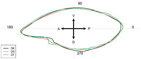 Otolith Morphometric and Shape Distinction of Three Redfin Species ...