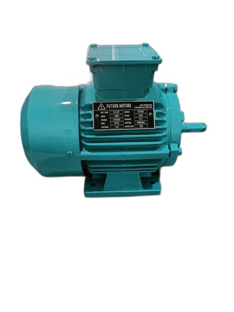 Induction Motor - Three Phase Induction Motor Manufacturer from Nashik