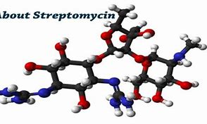 Image result for Streptomycin