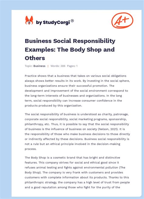 Social Responsibility Examples for Business 的图像结果